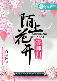 野花视频大全免费观看3