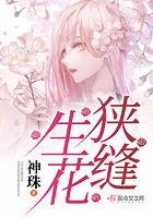教父2下载