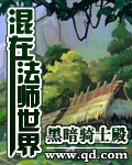 狂婿下山凌天苏清雅免费
