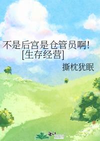 梦情记