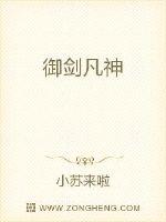 全部视频播放列表