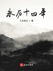 苹果手机充电宝