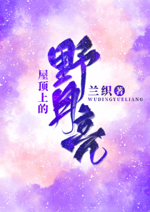 轮玩孕妇小说