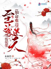 沈阳交换被老外玩坏了