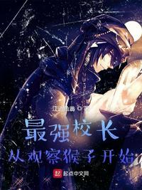 wow狼人德鲁伊配色