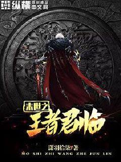 张艺谋狙击手电影免费观看