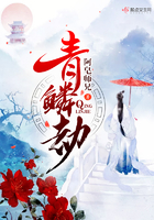 洛琼霄段阳澍小说免费阅读