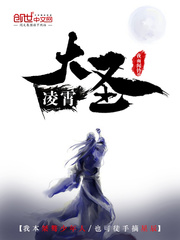 汉堡包图片