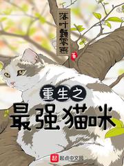 从前面来从后面来