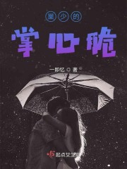 女人日b视频