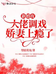 圣墟秦珞音