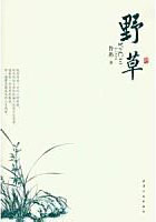 致命的诱惑韩国