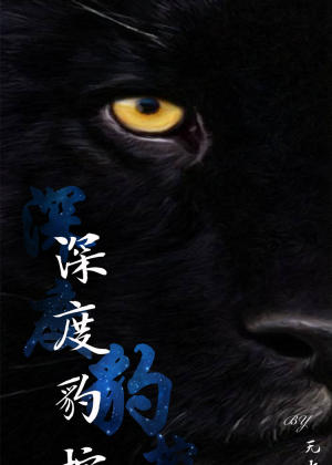 澳门有多少人口