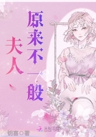 《查理九世》小说全集