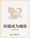 6v影视