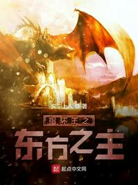 射雕之武道金丹