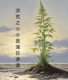 粉红理论泰剧原著小说