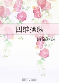 叶枫小说
