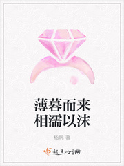 黑皮书在线观看