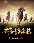 夜二少的二婚新妻