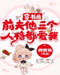 查理九世全集小说下载