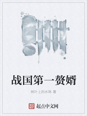 王的宠妃