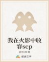 好男人视频社区精品免费