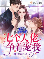 红楼梦第六回