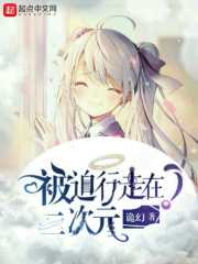 槽溜2024入口一二三四绿巨人