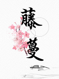 蓝狐影院