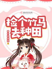 金瓶梅在线观看理论片