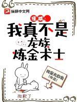 伽罗ちゃんが腿法是什么意思