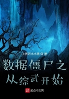 丛林中的莫扎特大尺哪一集