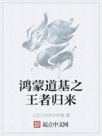 官场局中局