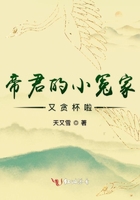 外国吻戏