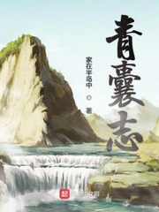 福斯特医生第一季