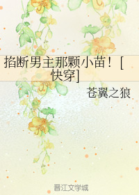 极品图库