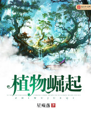 bl道具调教文