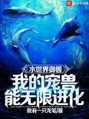 pmam在线观看
