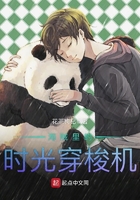 完美人生沈浪全集下载