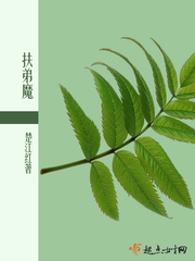 最新艳视频在线观看
