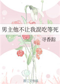忍者龙剑传女忍3d动漫