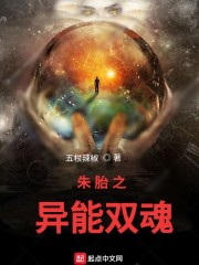 家国梦城市任务