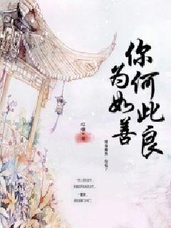 知否知否应是绿肥红瘦txt