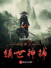新红楼梦第1—10集电影经典