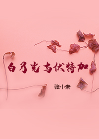 斗罗大陆免费完整版