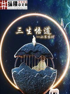 夹芯板