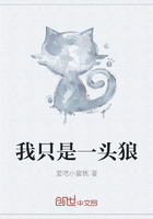 文枫柔佳第一章