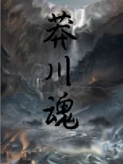 阮苏霍北辞小说