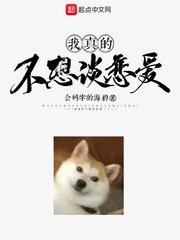 汽车时速测试在线